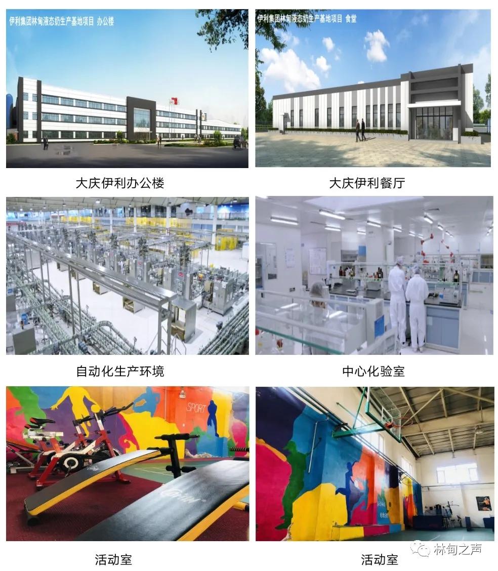 大庆伊利奶厂招聘信息,大庆伊利乳品有限责任公司