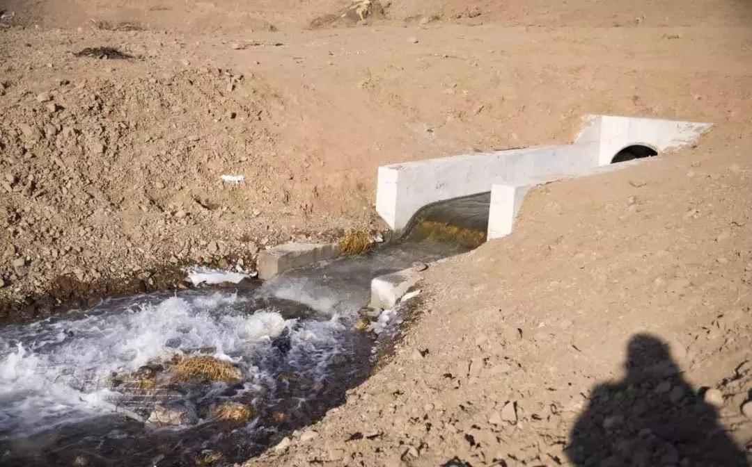 改性海泡石降解有机废水,有机海泡石