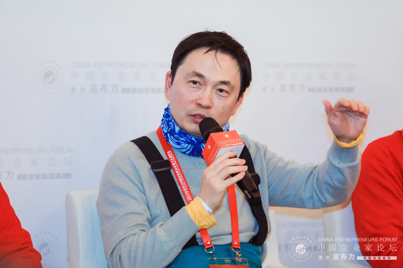 胡葆森王潮歌,胡葆森与王健林