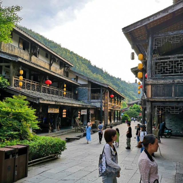 重庆近郊当天来回最佳景点自驾,七八月重庆金佛山自驾游攻略