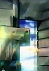 瀹濆彲姊﹂澶寸ぞmv,绮剧伒瀹濆彲姊﹂澶寸ぞmv