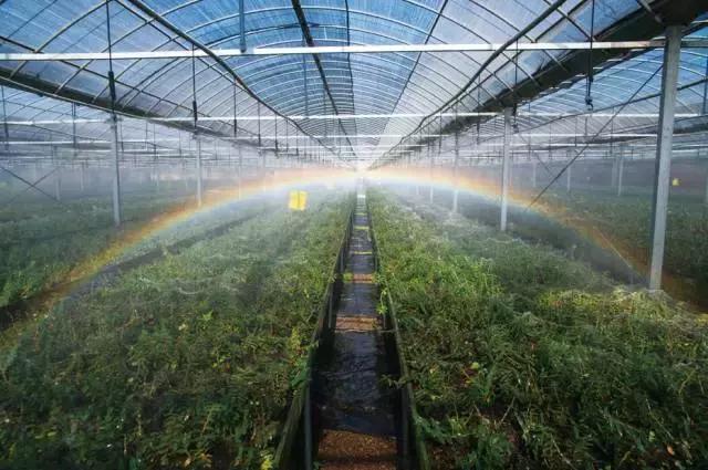 宁波周末带娃玩的好去处,宁波旅游度假山庄