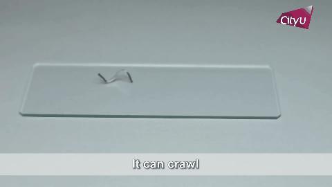 前沿洞察,双视角喷雾机器人特点