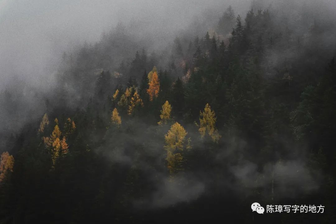 微商传销和普通微商的区别,微商是不是传销的新模式