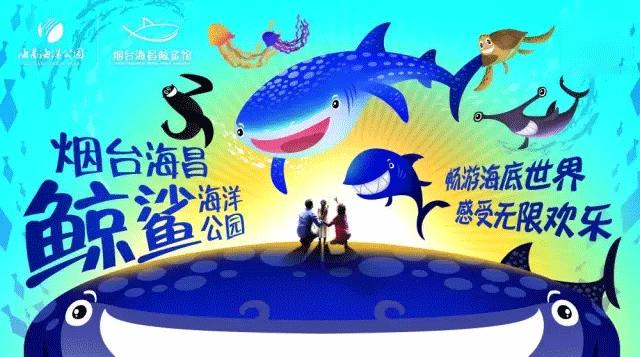 烟台海昌鲸鲨馆,烟台海昌鲸鲨馆表演