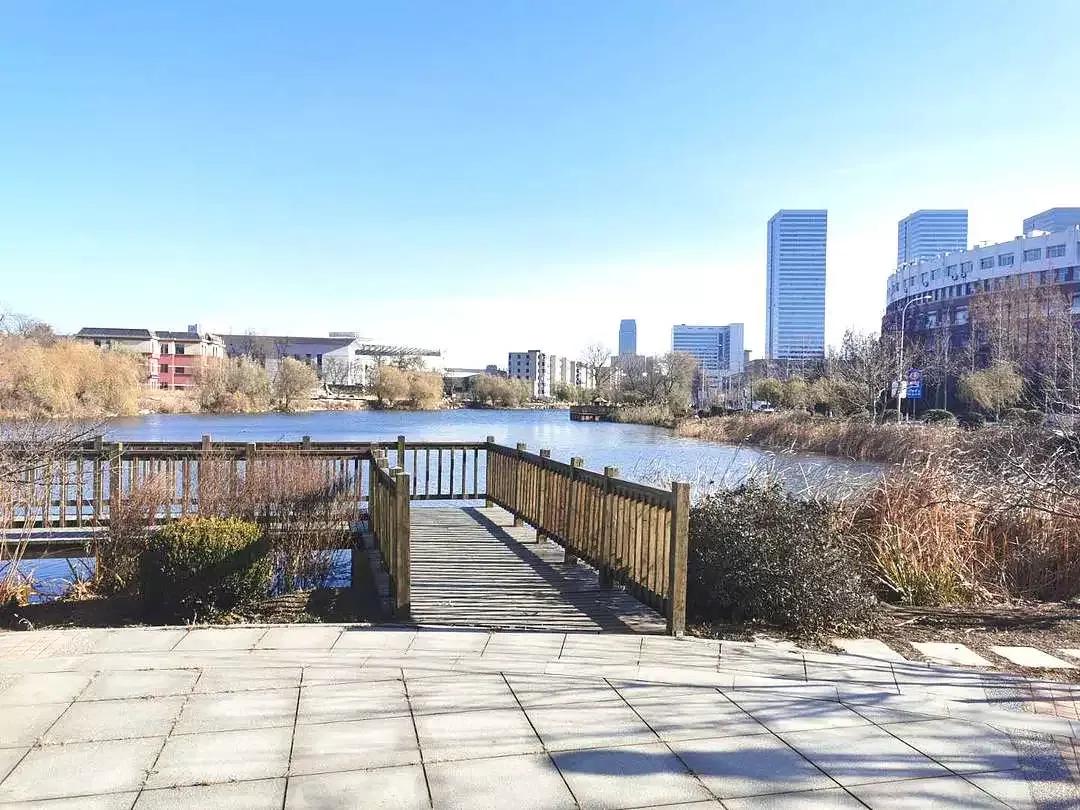 大连海事大学和辽宁省哪个级别高,大连海事大学辽宁省大学排名