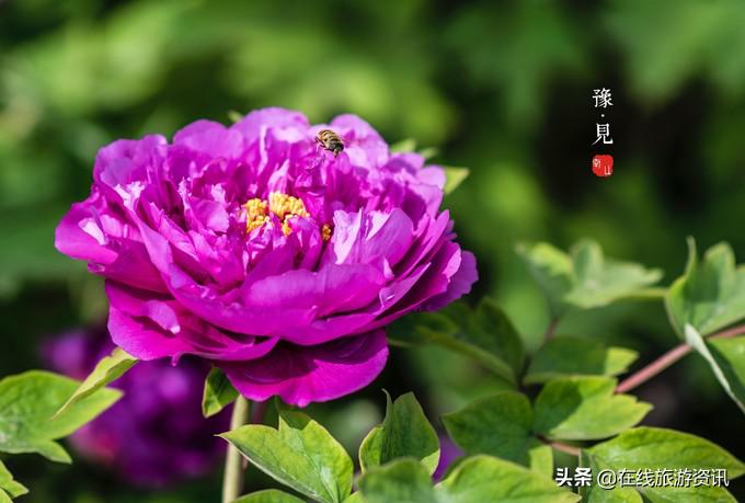 以郑州为中心，河南经典线路4-5日游全攻略！