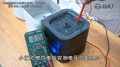 宠物饮水机“漏电”化身杨永信!你还敢让猫咪用它喝水吗?