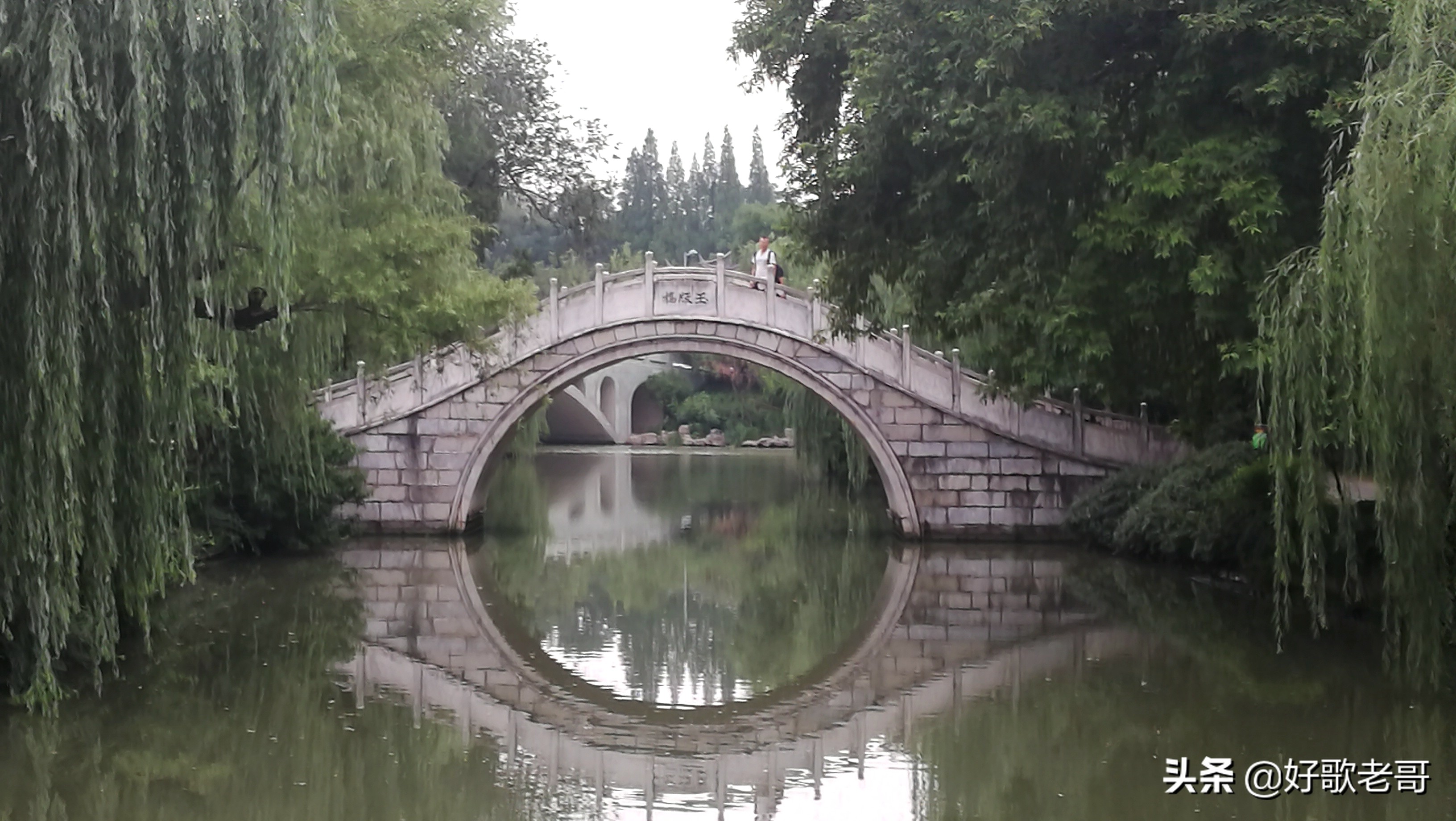 十里湖光,清澄缥碧,花木扶疏,连绵滴翠…瘦西湖游记