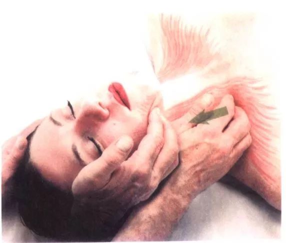 人不胖双下巴特别明显,人不胖有双下巴咋整