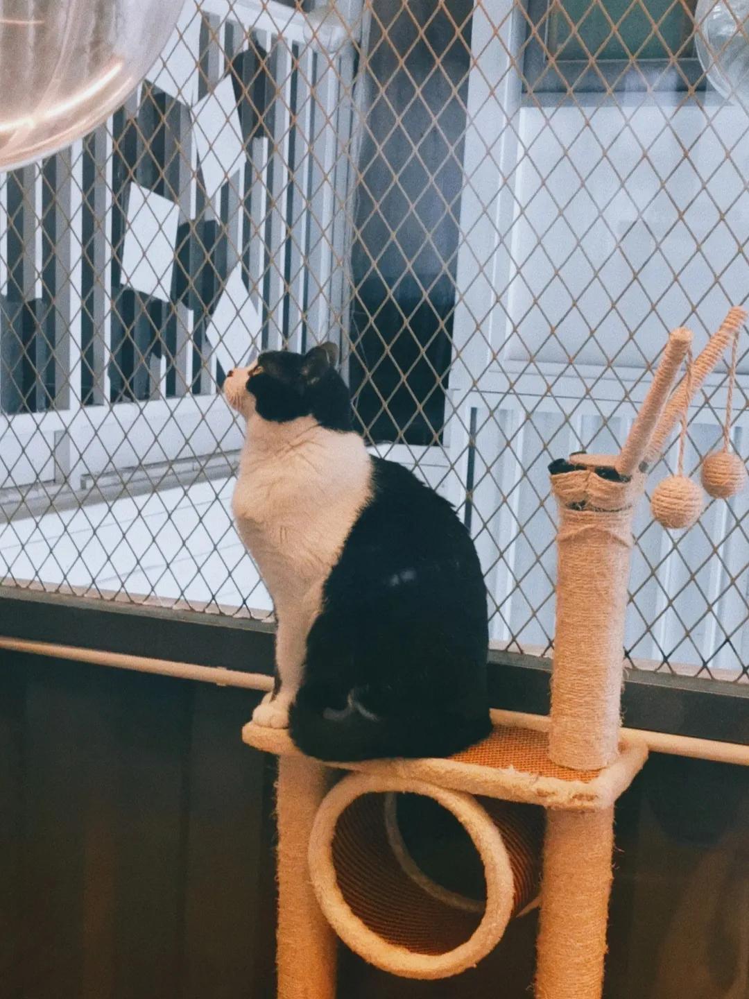 泉州藏在巷子里的小吃店,泉州的宝藏小店