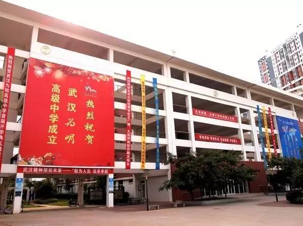 武汉十大贵族国际学校,武汉超级难进的七大贵族学校