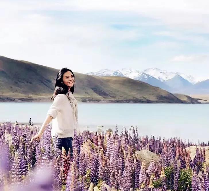 新西兰鲁冰花最新视频,新西兰野生鲁冰花