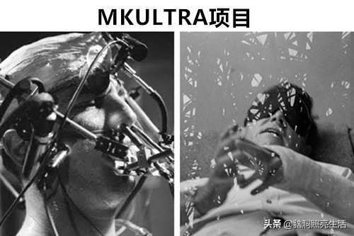 十大灭绝人性的人体实验,历史上最恐怖五项人体实验