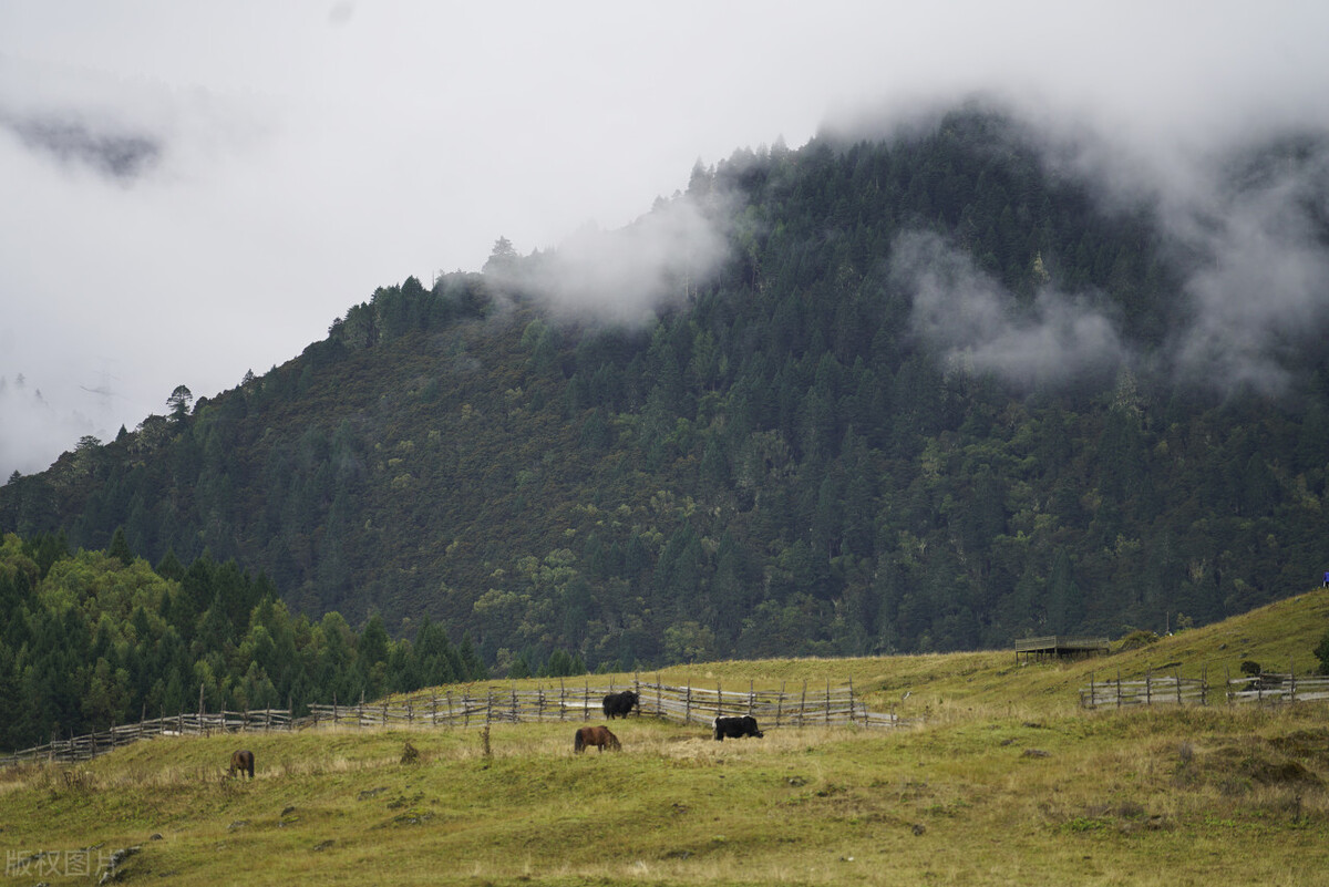 国内最经典12条自驾游线路,国内十大自驾游线路推荐