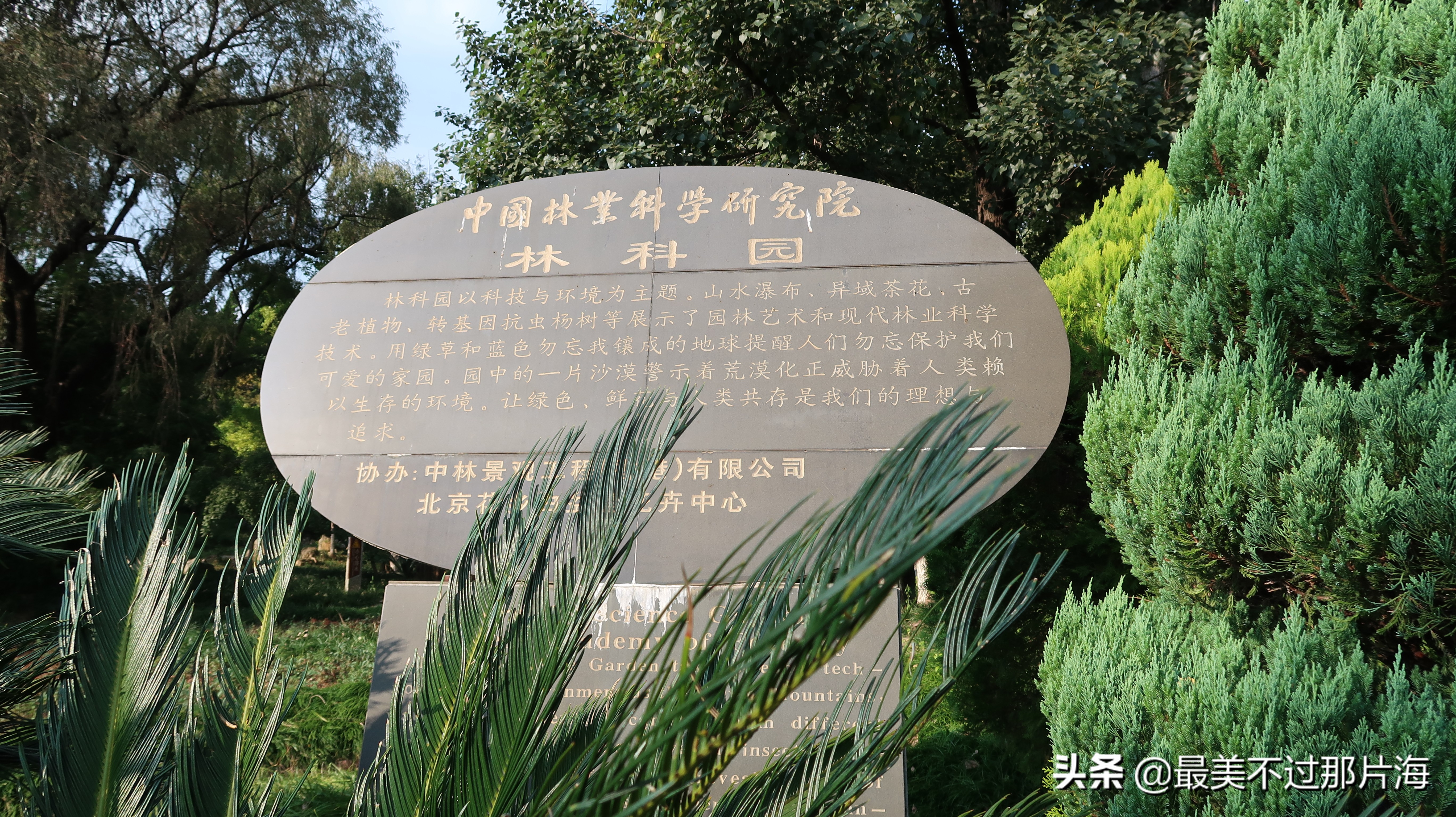 昆明世博园和云南大观园游玩攻略,昆明有个世博园四季如春好地方