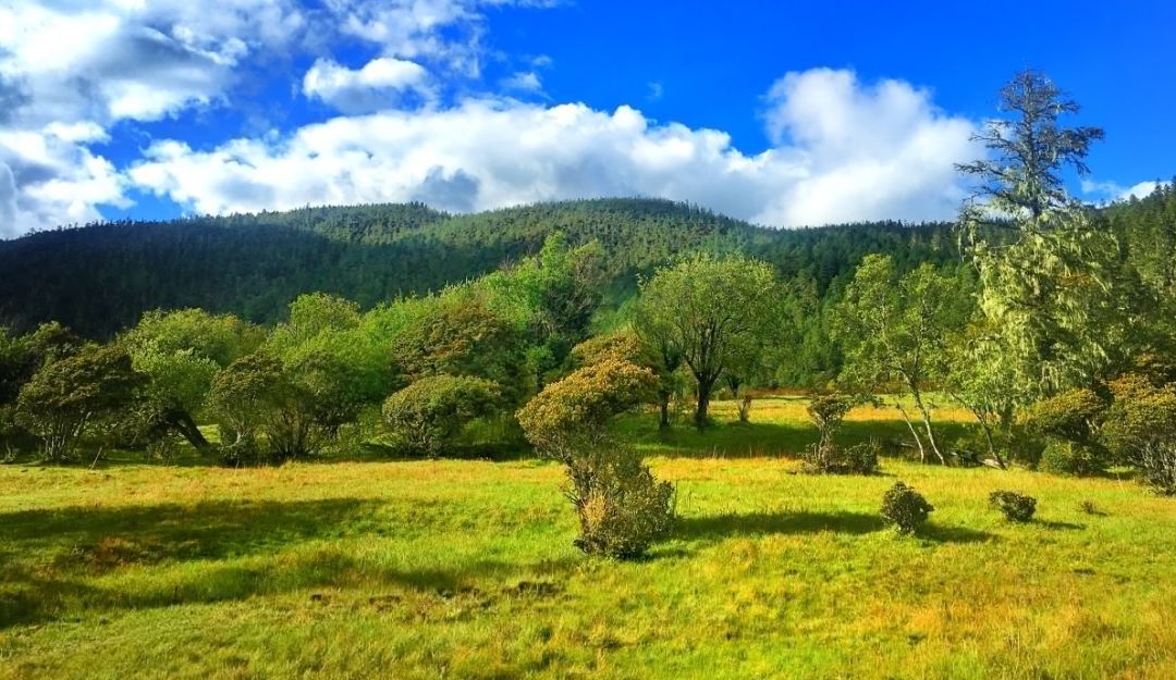 去云南自驾游有哪些景点最美,云南最美打卡景点