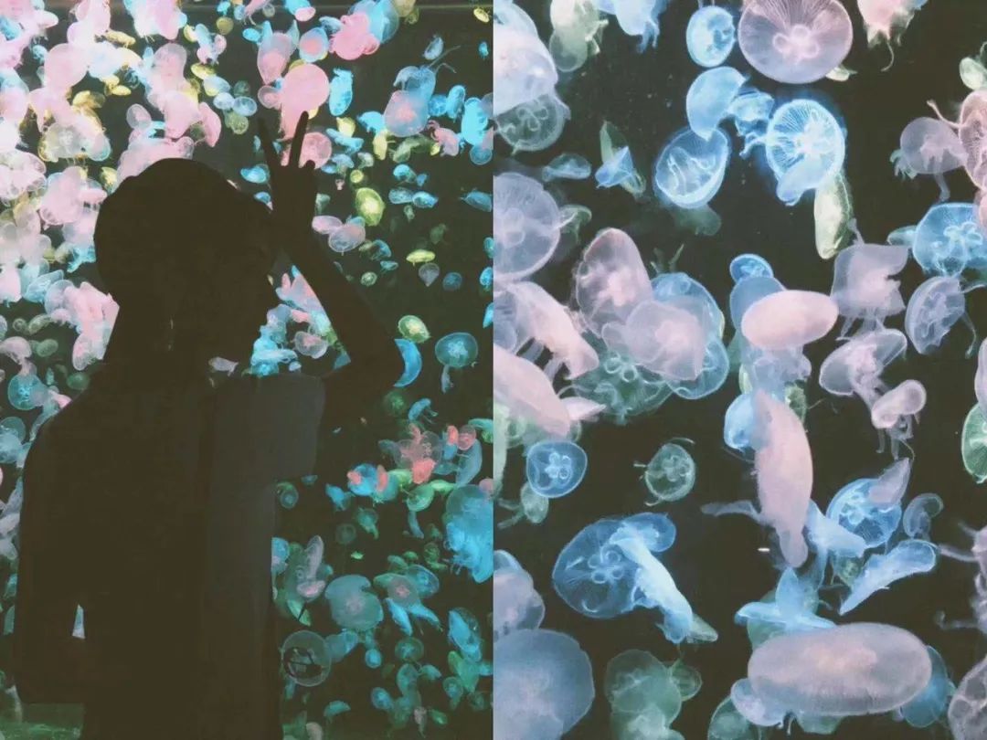 探店好看的衣服都在这里,探店逛美妆