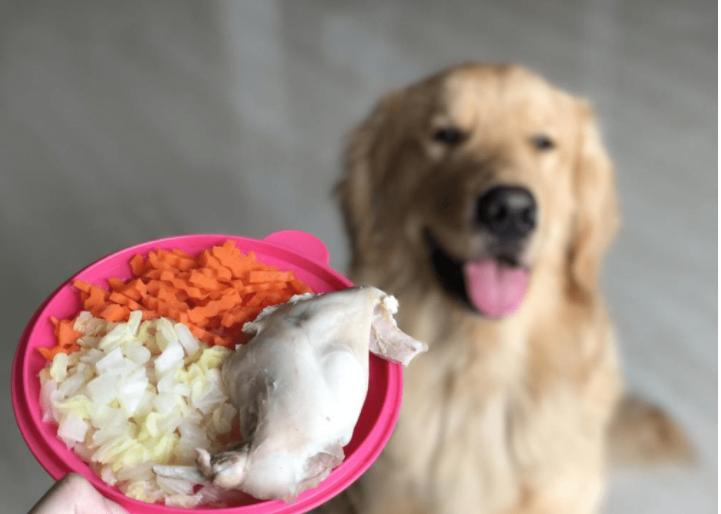 雪纳瑞犬可以吃什么食物,狗狗不能吃的食物完整版