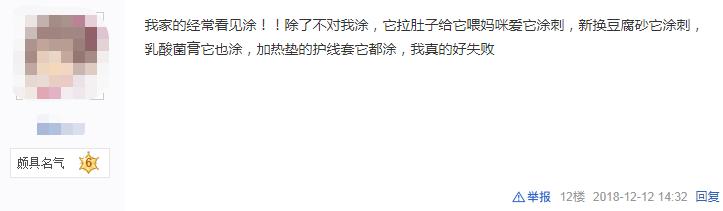 辟谣：非洲迷你刺猬咬人涂刺后就算接纳这个人？小心被白咬