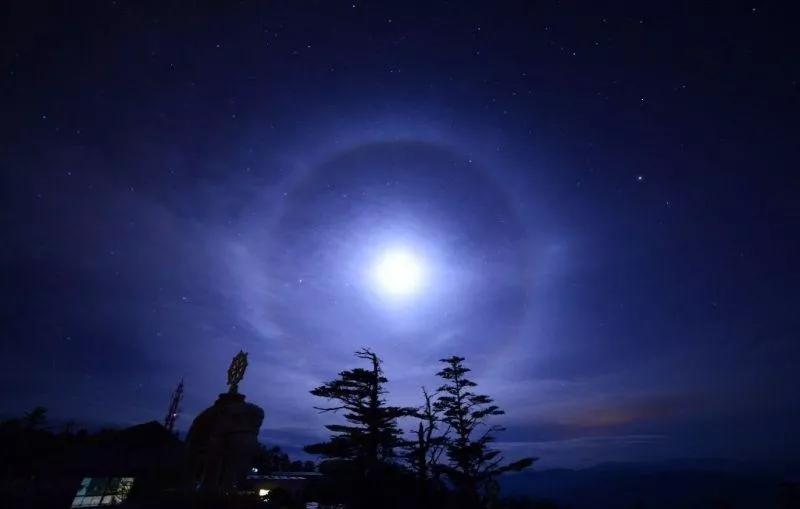 大自然的规律和启示,大自然的预知能力
