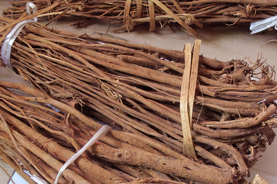 人称“一条根”，农民腌咸菜用它防蝇，名字带“茶”却不能泡茶