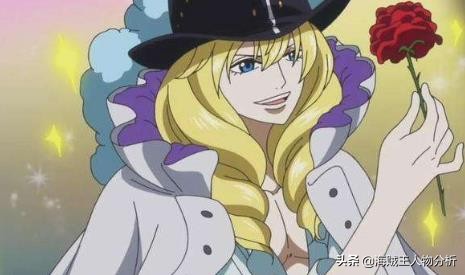 海贼王草帽海贼团11个成员,海贼王草帽大船团队员叫什么