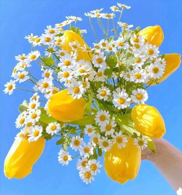 非常讨厌推销的人不断缠着自己,为什么很多人都讨厌推销