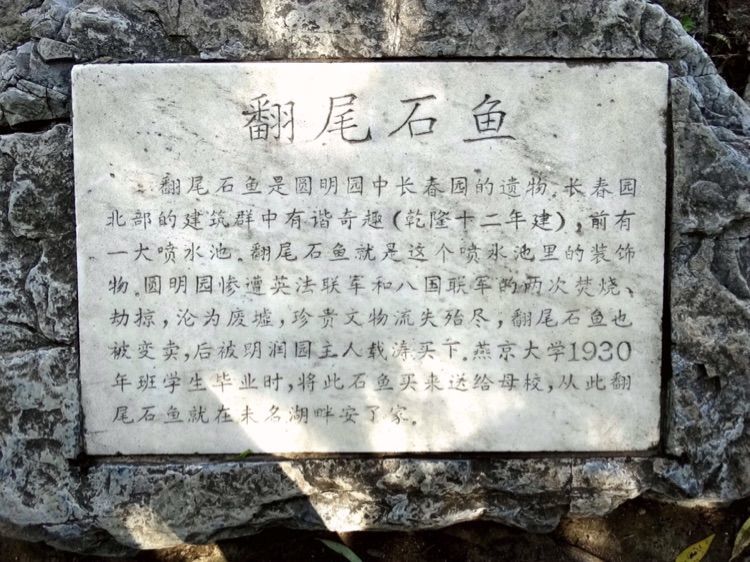 漫步北大校园,北大印象图片