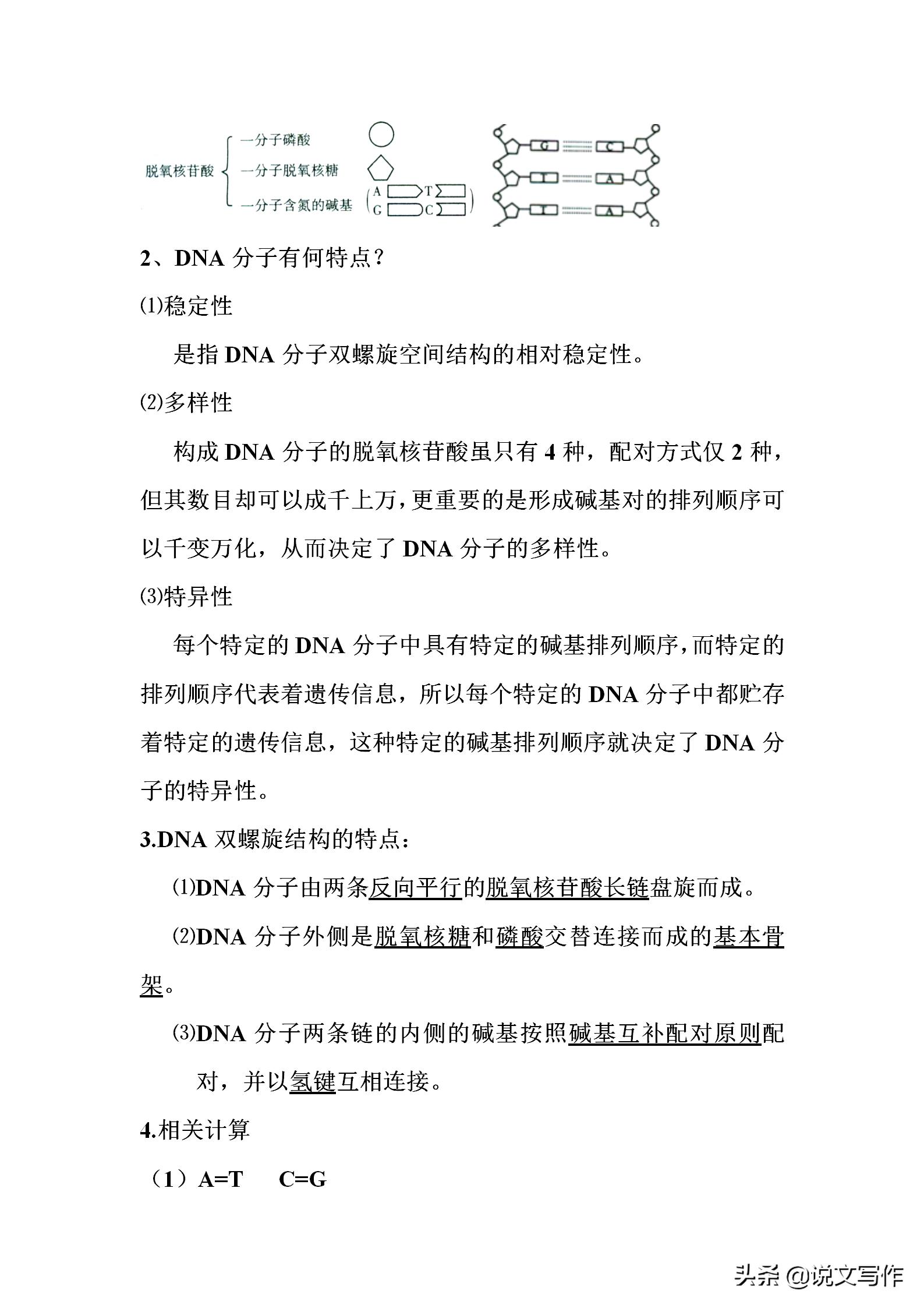 高中生物必修二减数分裂有丝分裂,人教版高中生物必修二课本电子版