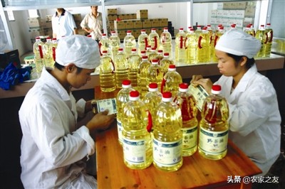 巴马特色美食火麻仁汤,巴马瑶寨火麻汤