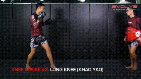 泰拳膝盖肘击的威力有多大,泰拳杀手最新视频