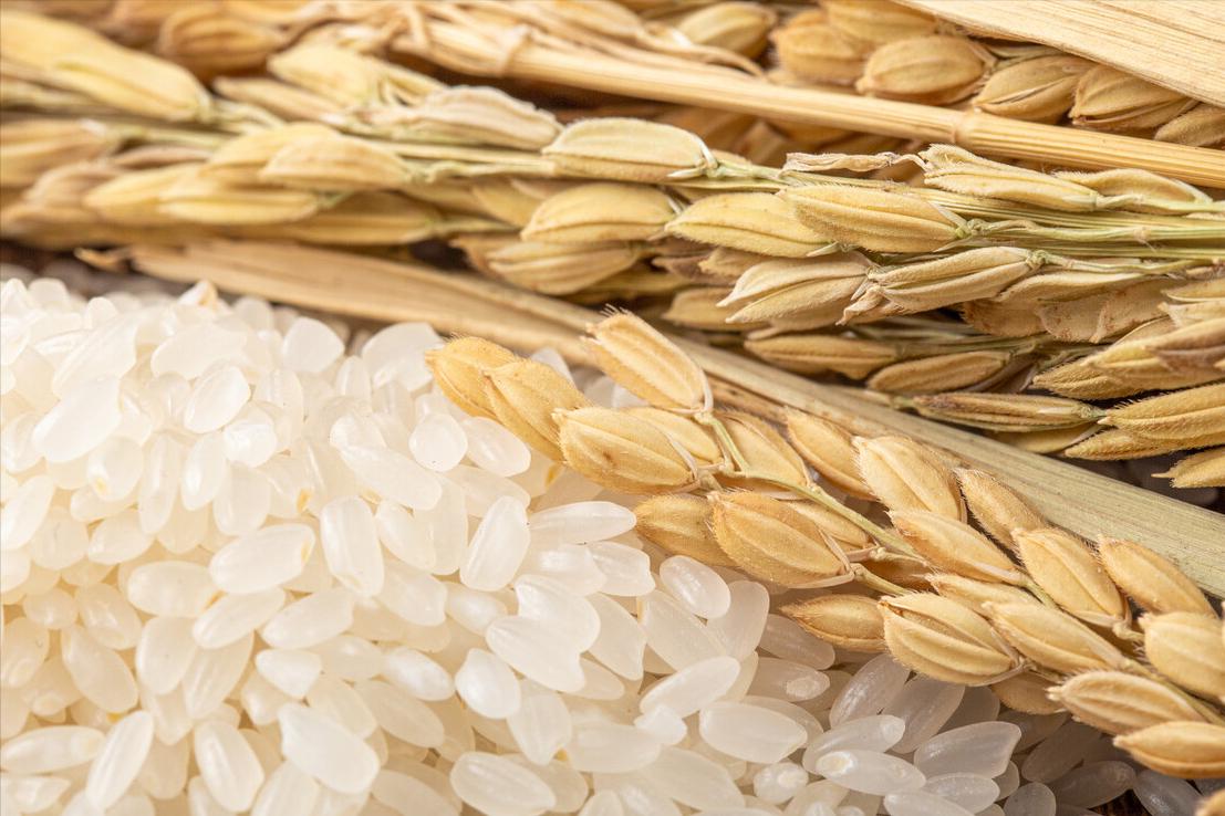 全国最好的大米是哪个省哪个市的,全国大米最好吃是什么大米