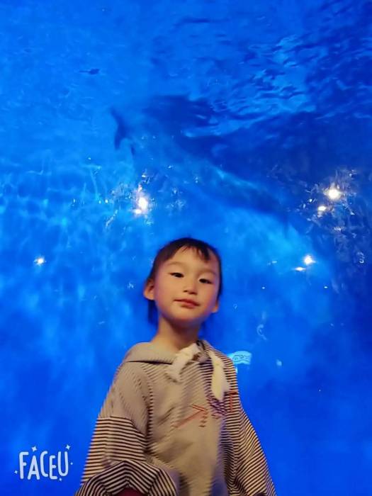 盐城港湾明珠幼儿园开学,盐城市港湾明珠幼儿园