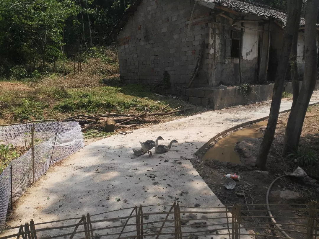 刘晓晴清远,刘晓晴最近新闻