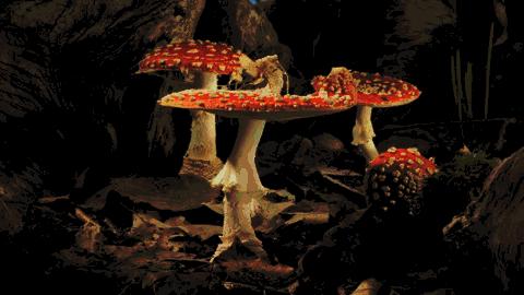 昆明人吃的比较多的美食,云南昆明饮食是什么口味