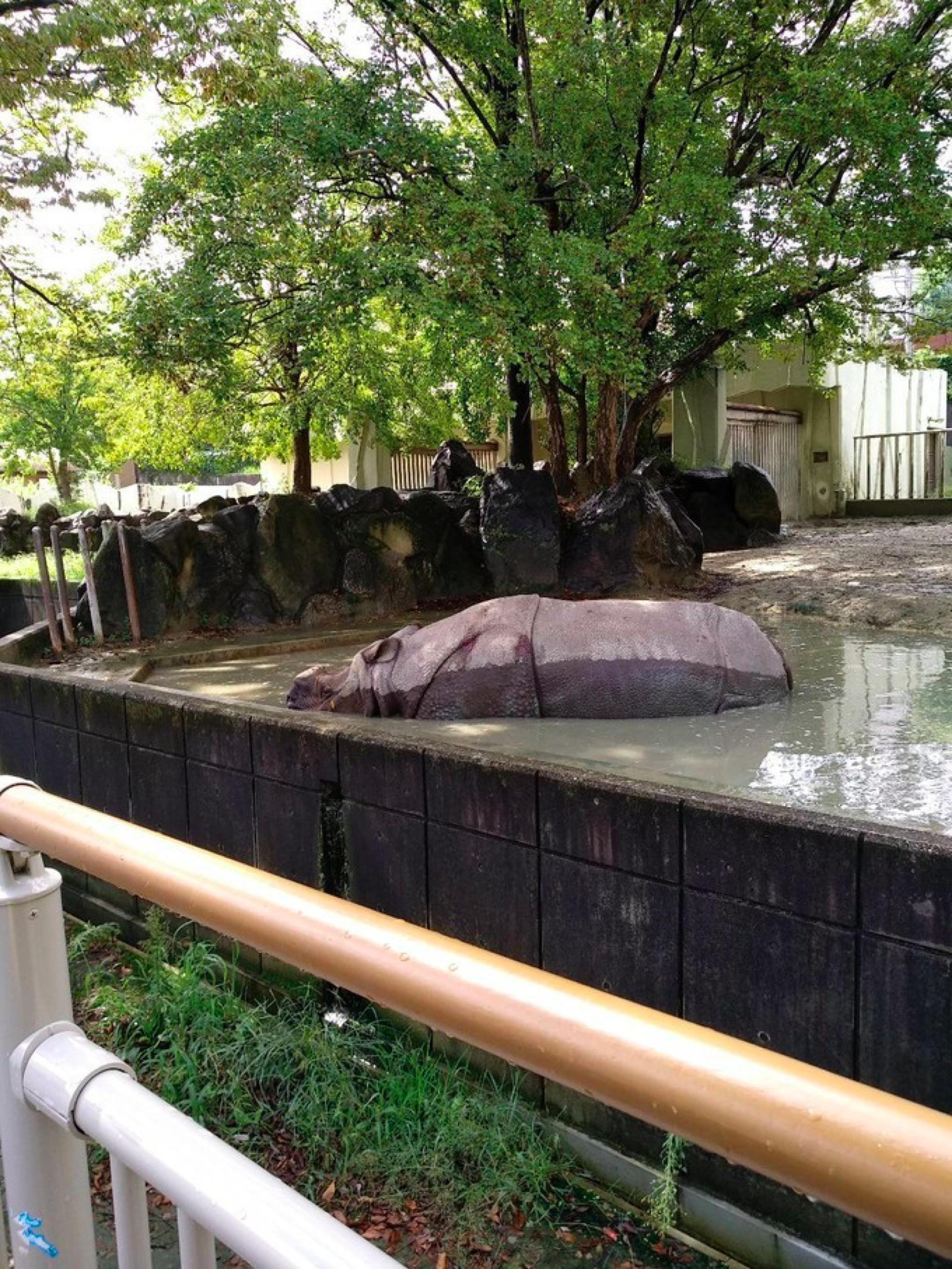 名古屋自由,名古屋3天自由行攻略