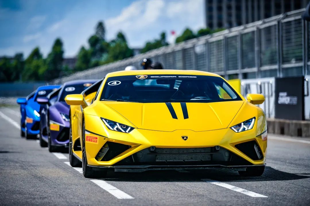 火热|为“披荆斩棘”的姐夫们打Call