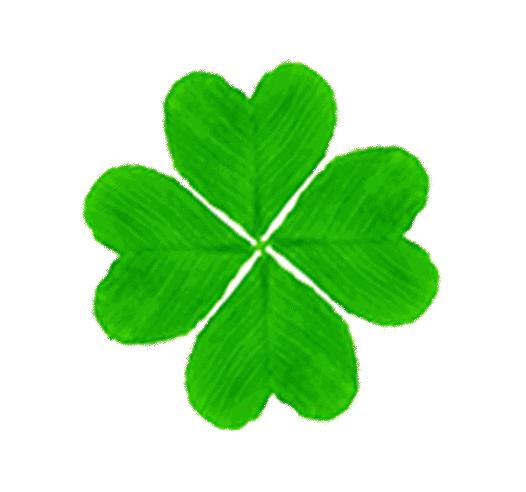 描写老师好词好句,怎样形容老师和学生之间的师生情