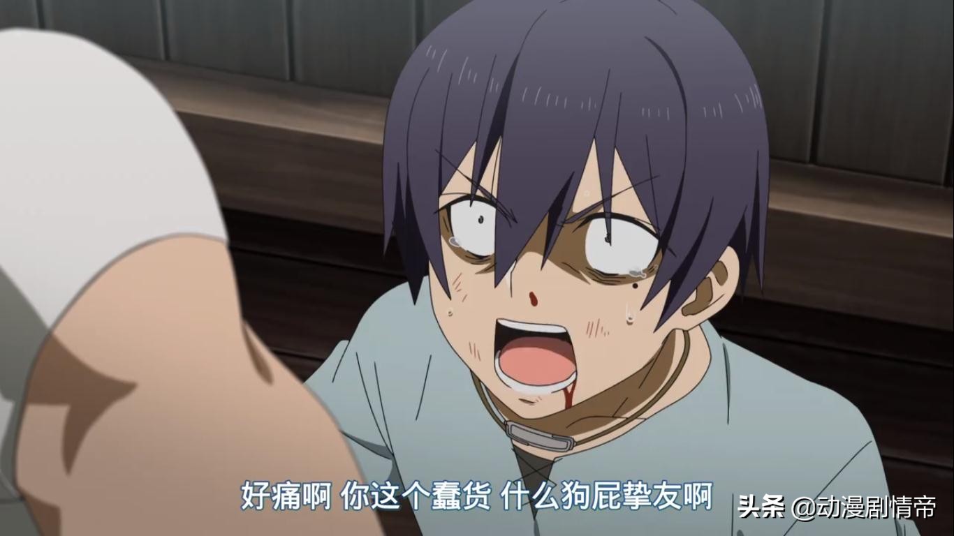 如果究极进化会成为现实12集,如果究极进化