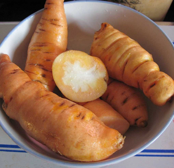 中药药性详细讲解视频,中药药性总论