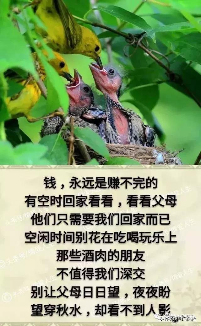 我的家庭相册怎么弄,我的家庭相册全集