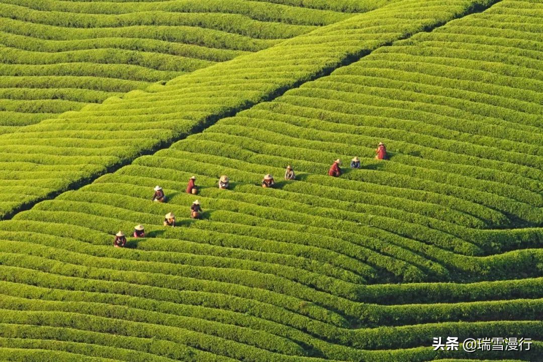 五一小长假去苏杭人多吗,五一杭州西湖人多吗