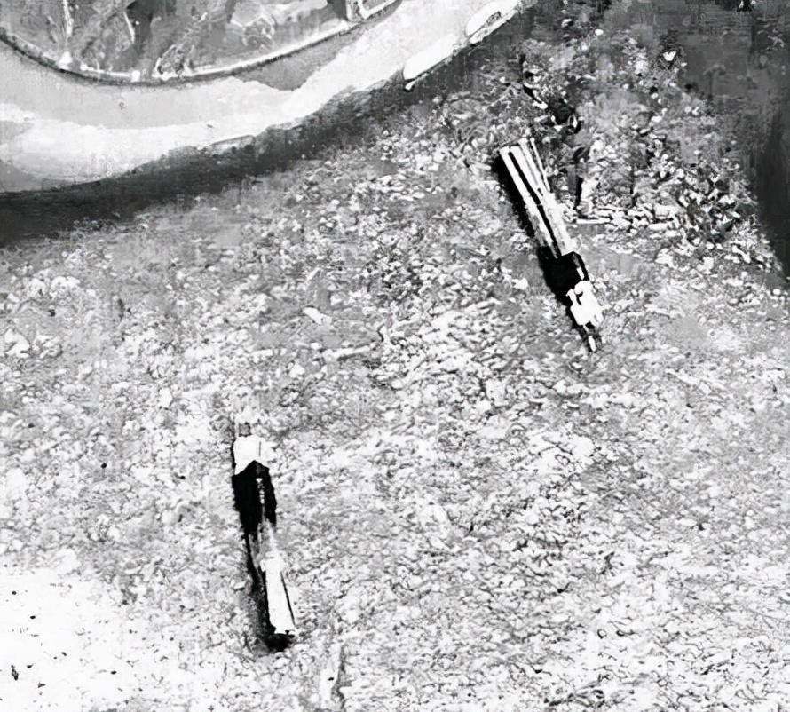 河南一男子开车用毒针射杀狗，村民吓得不敢动！毒狗针有多危险？