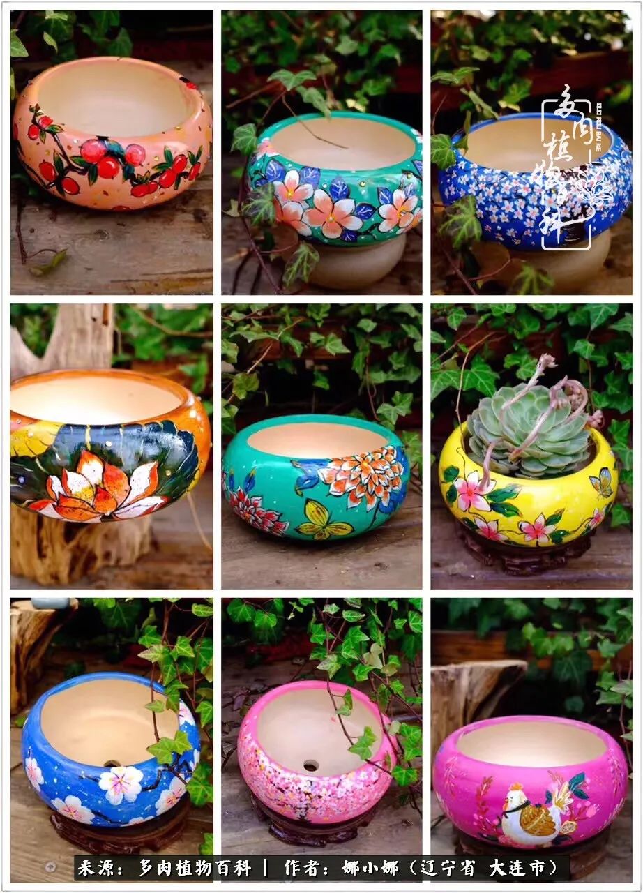 你是盆我是花，你护我周全，我为你绽放