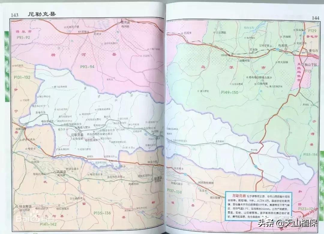 她就是*疆新**尼勒克县四趣