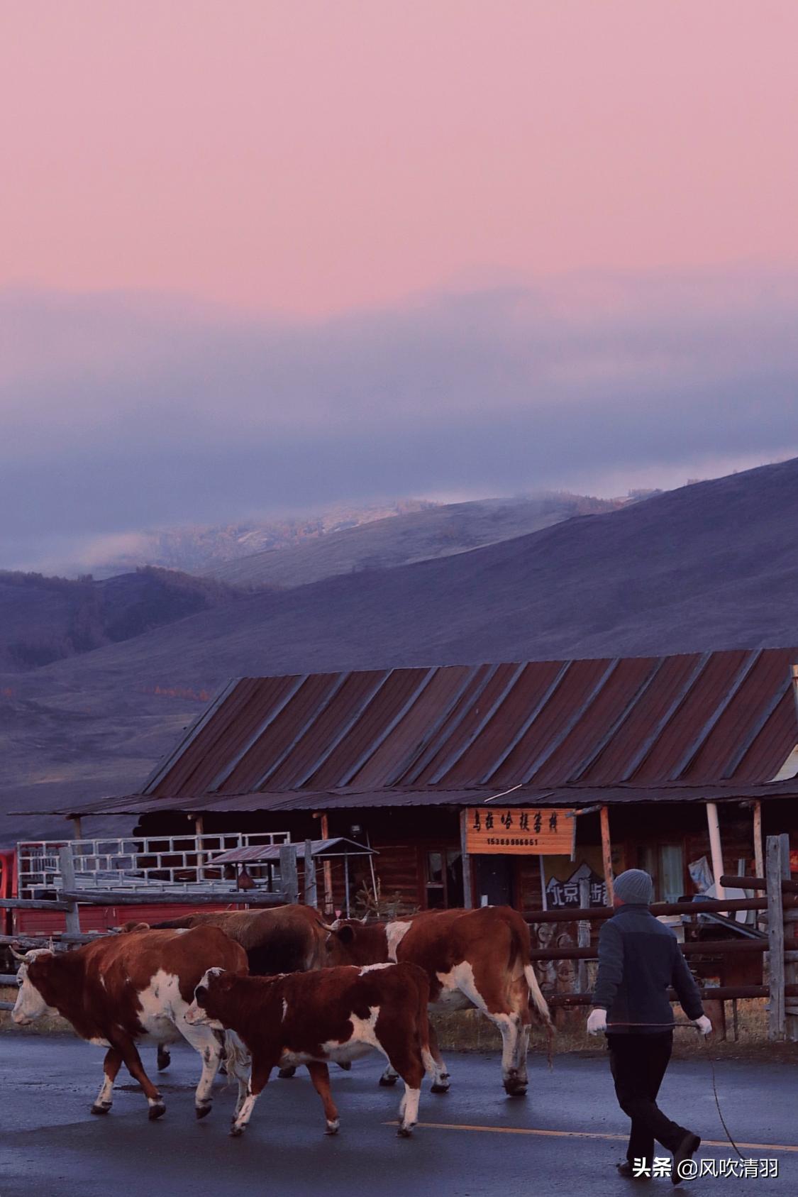 真实新疆人的生活视频,新疆人的生活好精致