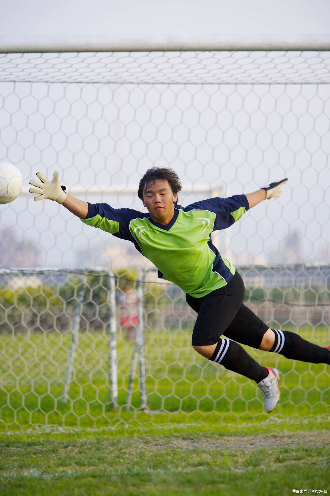 飞机为什么能飞上天的资料简写,飞机为什么能飞上天微课