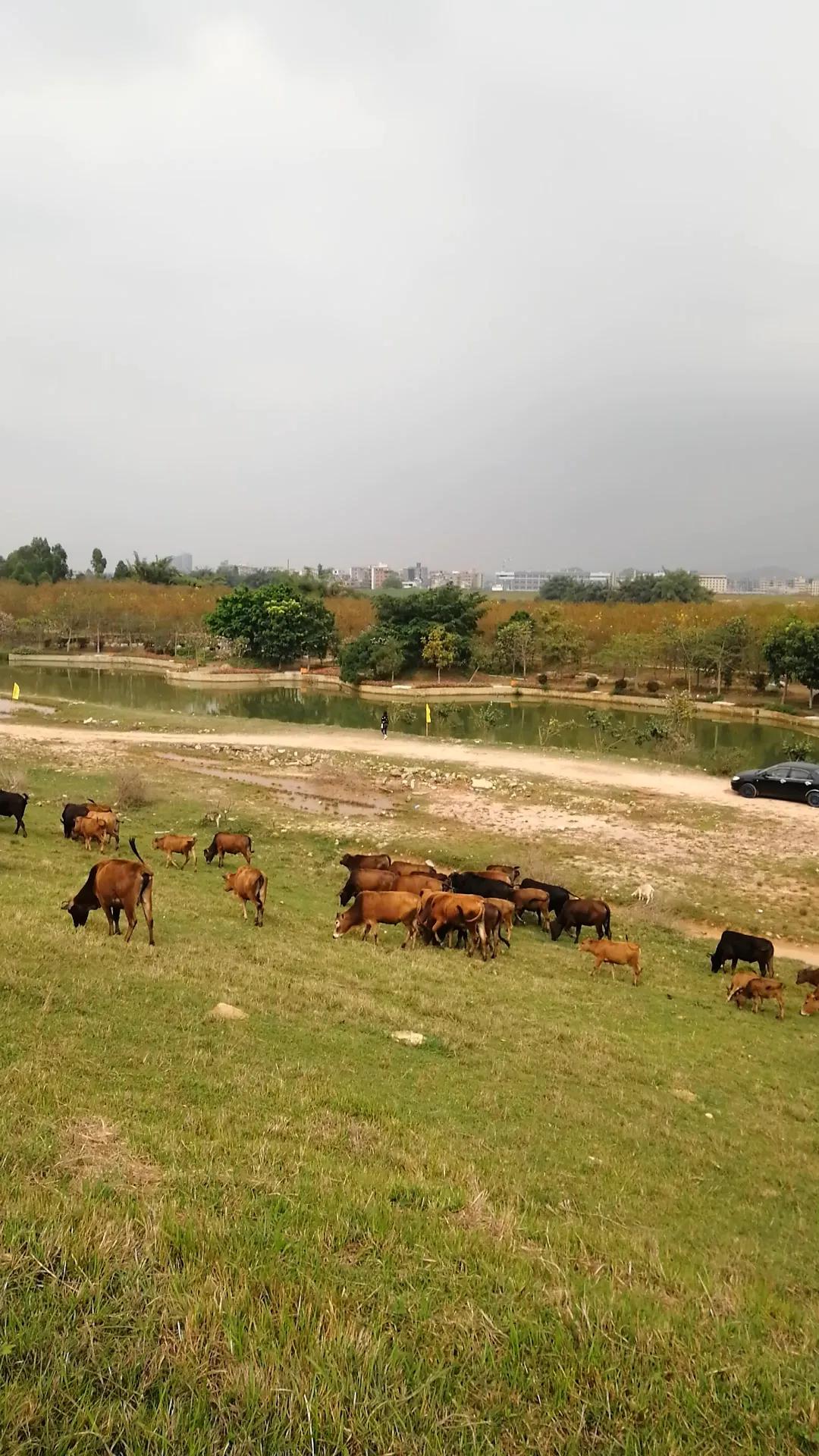 偌大的城市我的栖身之处在何处,偌大的城市容不下一个漂泊的灵魂