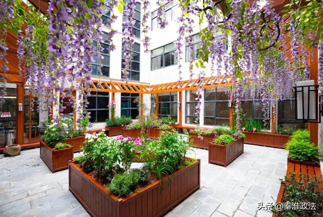 “转角遇见·百草园”为秦淮中医院输入创新发展正能量